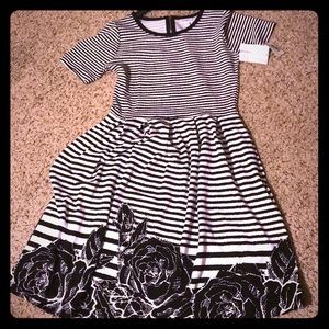 BNWT LLR Large Amelia